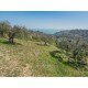 Properties for Sale_Farmhouses to restore_EXCLUSIVE FARMHOUSE TO RENOVATE WITH SEA VIEW in Fermo in the Marche in Italy in Le Marche_18